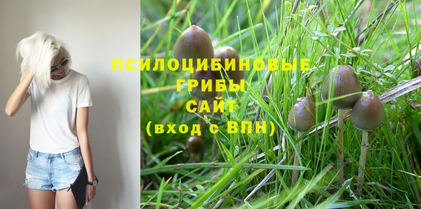 apvp Абинск