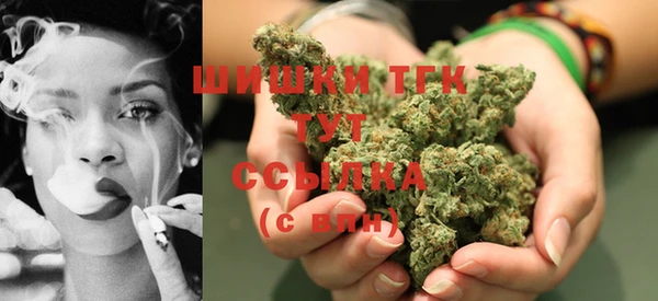 прущие грибы Абдулино
