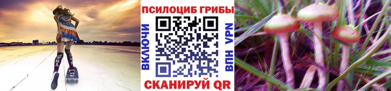 купить наркотики сайты  Циолковский  Псилоцибиновые грибы GOLDEN TEACHER 